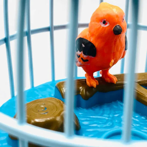 Talkback Musical light Bird cage with 2 birds