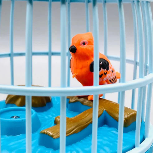 Talkback Musical light Bird cage with 2 birds